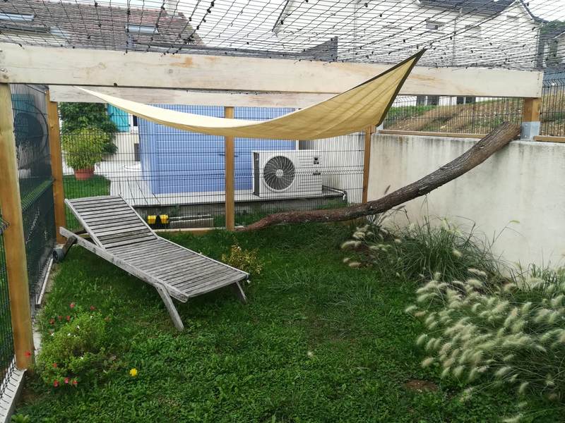 Espace extérieur de la pension dans le jardin