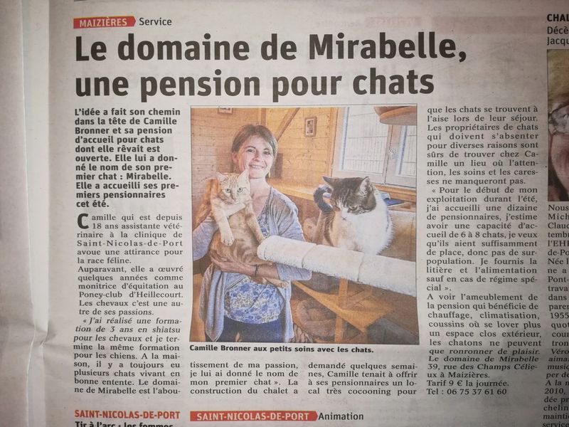 Article de presse : « Le domaine de Mirabelle, une pension pour chats »